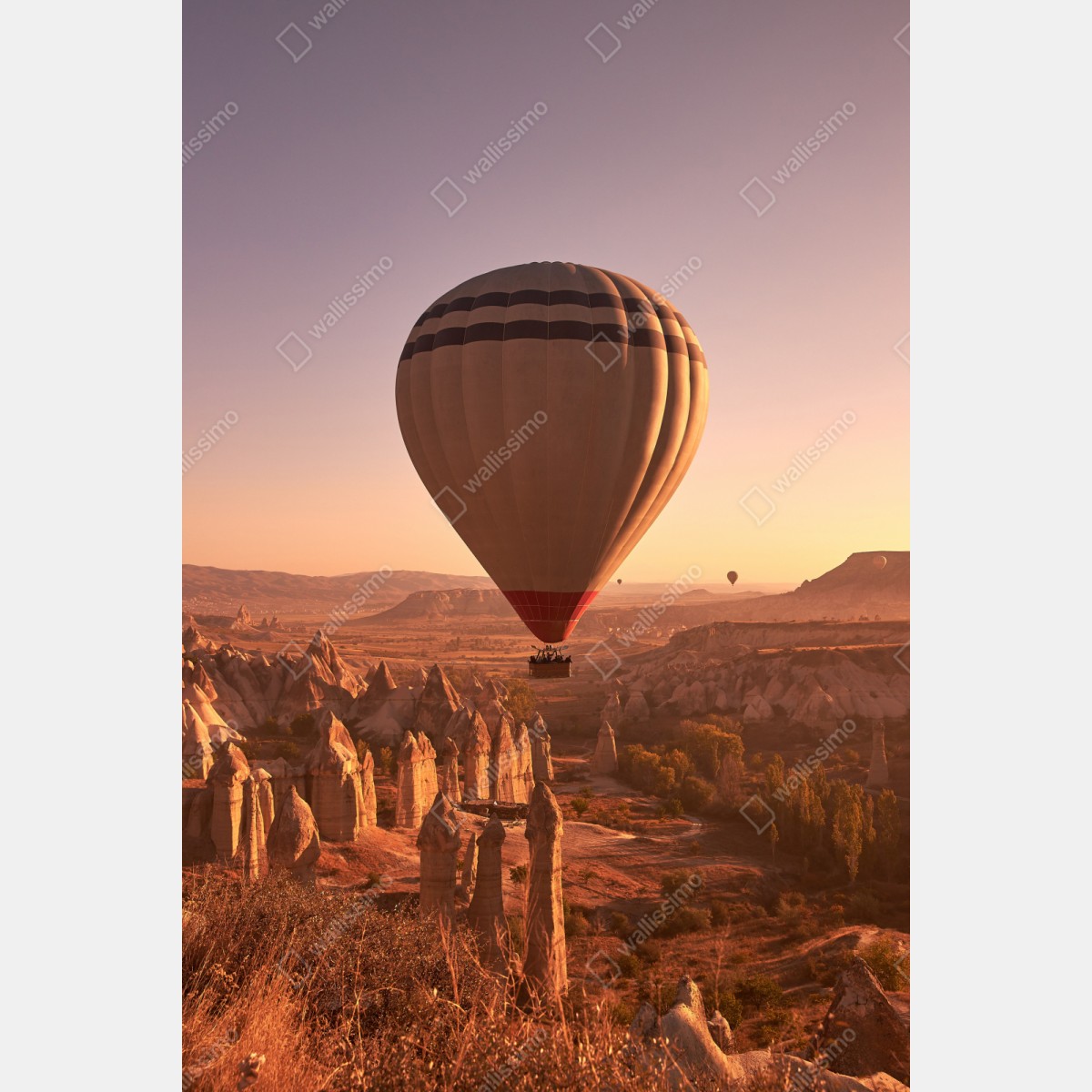 Repositionierbarer Aufkleber heißluftballon über Kappadokien bei sonnenaufgang – Wallnifity® Repositionierbarer Aufkleber heißluftballon über Kappadokien bei sonnenaufgang – Wallnifity®