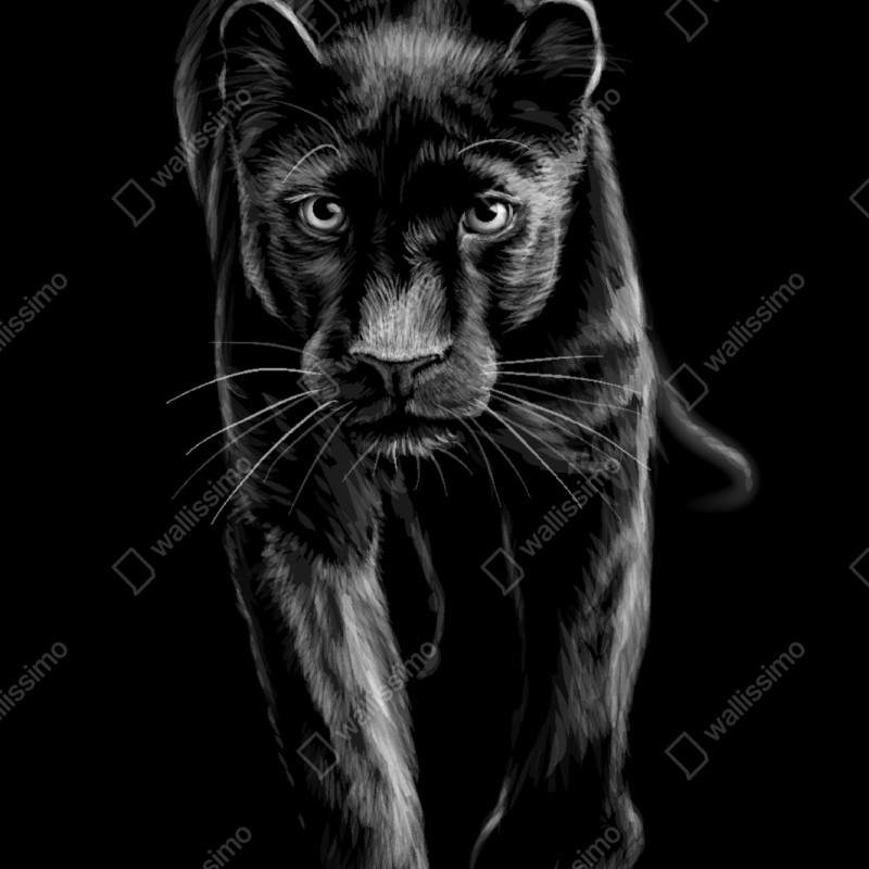 Repositionierbarer Aufkleber schreitender schwarzer panther illustration – Wallnifity® Repositionierbarer Aufkleber schreitender schwarzer panther illustration – Wallnifity®