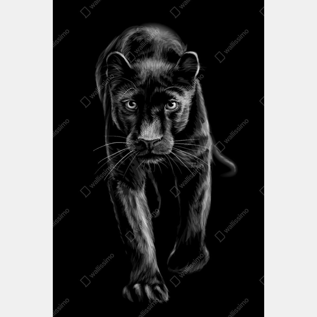 Repositionierbarer Aufkleber schreitender schwarzer panther illustration – Wallnifity® Repositionierbarer Aufkleber schreitender schwarzer panther illustration – Wallnifity®