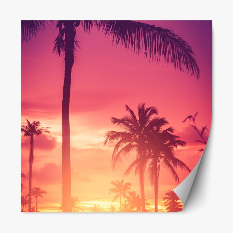 Repositionierbarer Aufkleber tropischer sonnenuntergang mit palmen – Wallnifity®