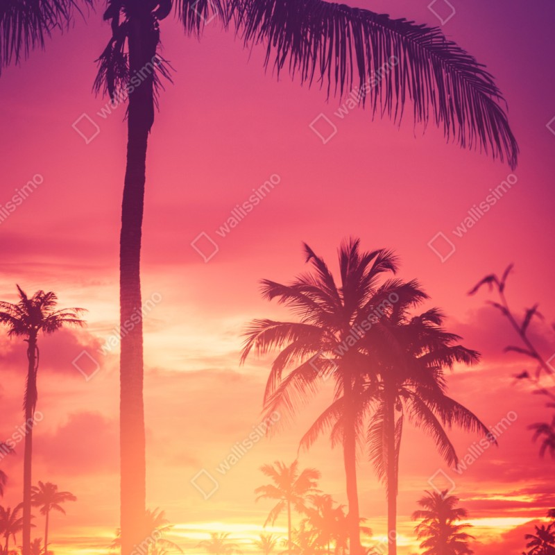 Repositionierbarer Aufkleber tropischer sonnenuntergang mit palmen – Wallnifity® Repositionierbarer Aufkleber tropischer sonnenuntergang mit palmen – Wallnifity®