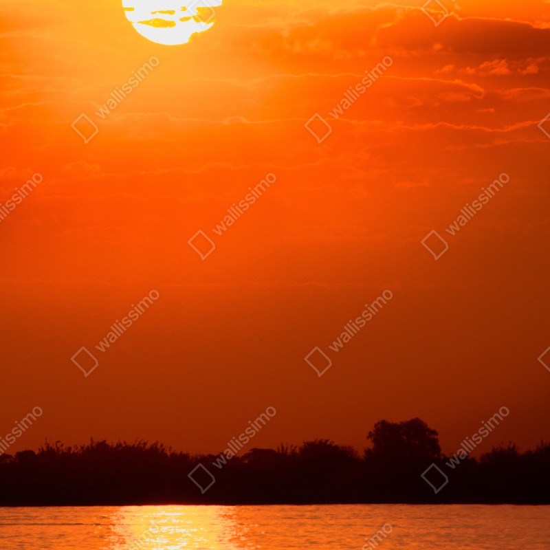 Repositionierbarer Aufkleber goldener sonnenuntergang über ruhigem see – Wallnifity® Repositionierbarer Aufkleber goldener sonnenuntergang über ruhigem see – Wallnifity®