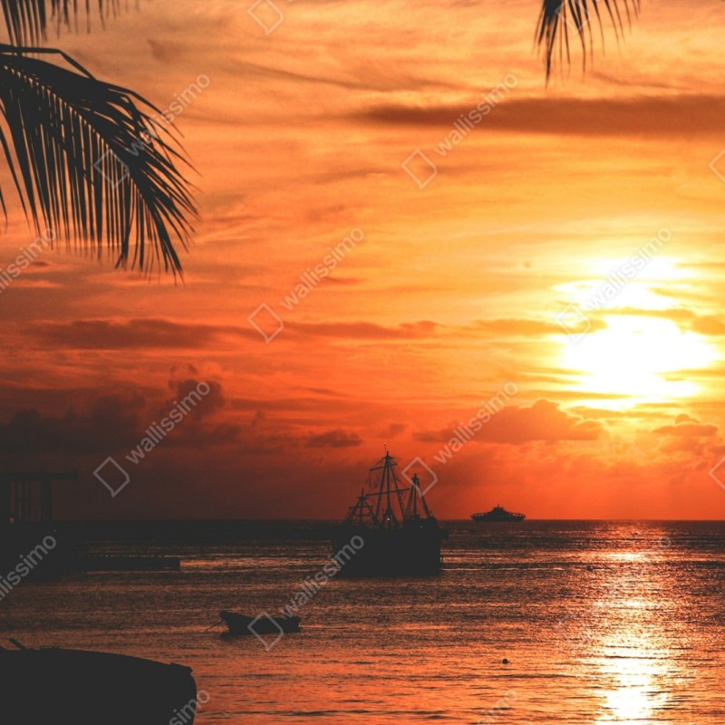 Repositionierbarer Aufkleber tropischer sonnenuntergang am meer – Wallnifity® Repositionierbarer Aufkleber tropischer sonnenuntergang am meer – Wallnifity®