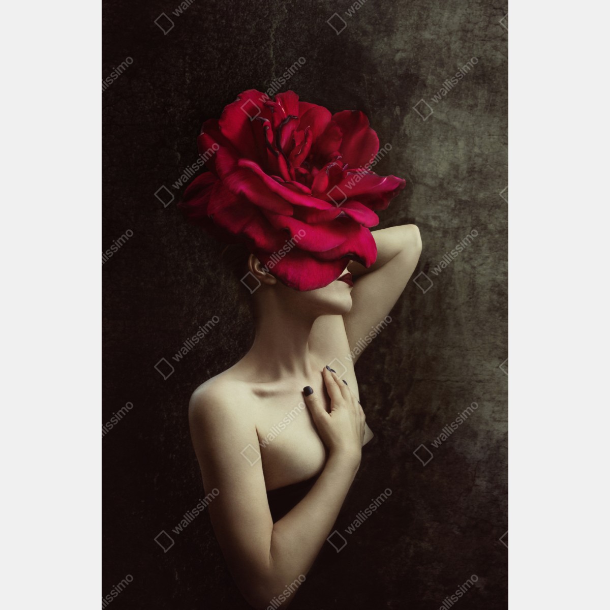 Repositionierbarer Aufkleber frau mit rosenkopf surreales blumenporträt – Wallnifity® Repositionierbarer Aufkleber frau mit rosenkopf surreales blumenporträt – Wallnifity®
