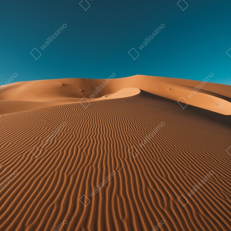 Repositionierbarer Aufkleber goldene sanddünen unter tiefblauem himmel – Wallnifity® Repositionierbarer Aufkleber goldene sanddünen unter tiefblauem himmel – Wallnifity®