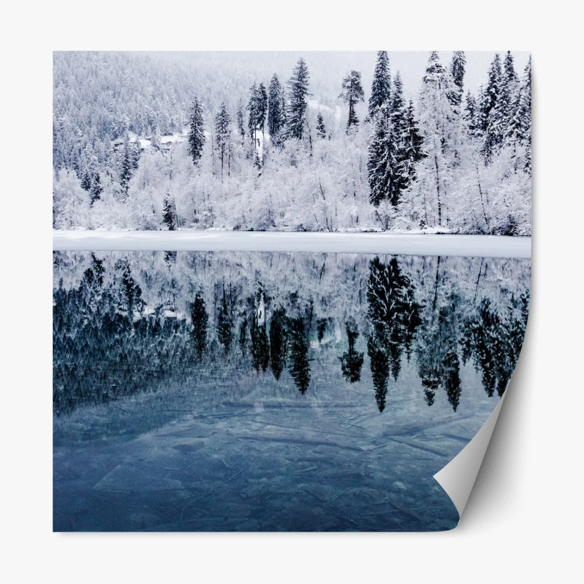 Repositionierbarer Aufkleber winterlicher see mit spiegelung im verschneiten wald – Wallnifity® Repositionierbarer Aufkleber winterlicher see mit spiegelung im verschneiten wald – Wallnifity®