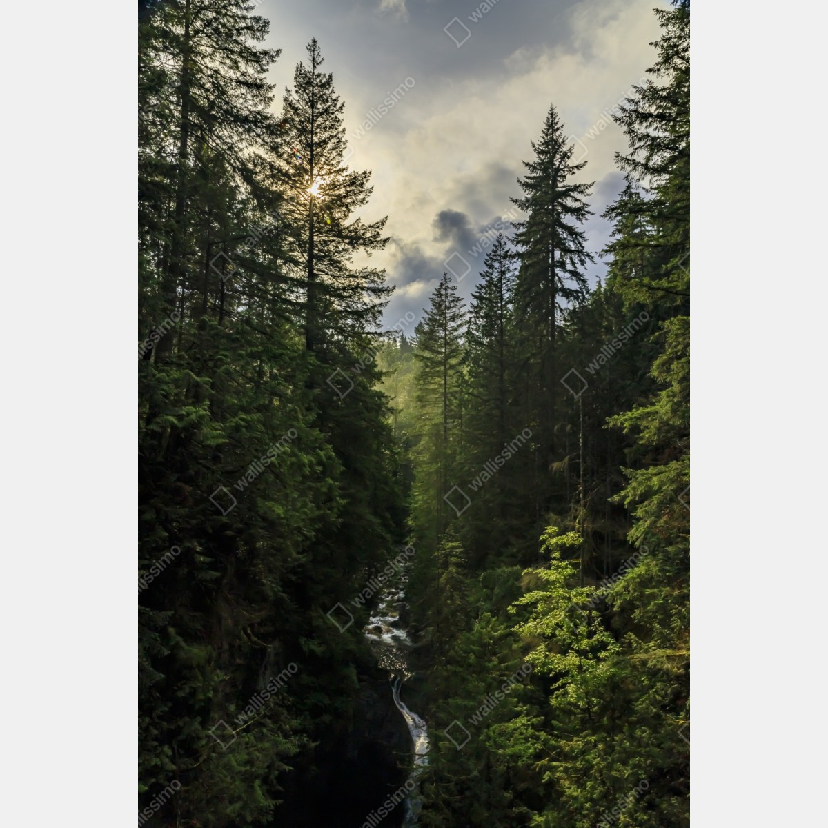 Repositionierbarer Aufkleber nebliger immergrüner wald mit wasserfall – Wallnifity® Repositionierbarer Aufkleber nebliger immergrüner wald mit wasserfall – Wallnifity®