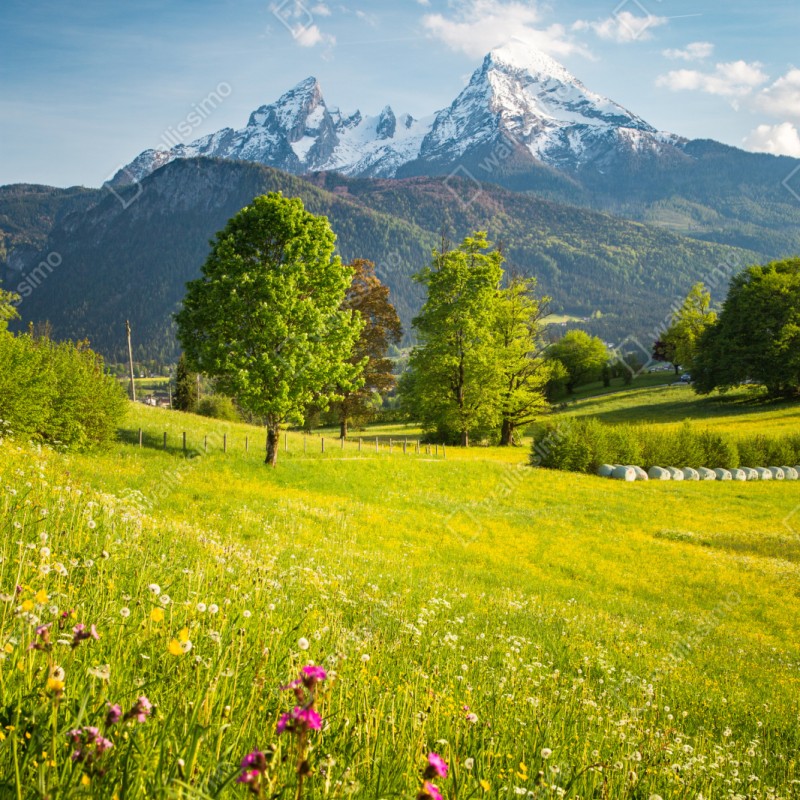 Repositionierbarer Aufkleber alpine frühlingswiese unter schneebedeckten gipfeln – Wallnifity® Repositionierbarer Aufkleber alpine frühlingswiese unter schneebedeckten gipfeln – Wallnifity®