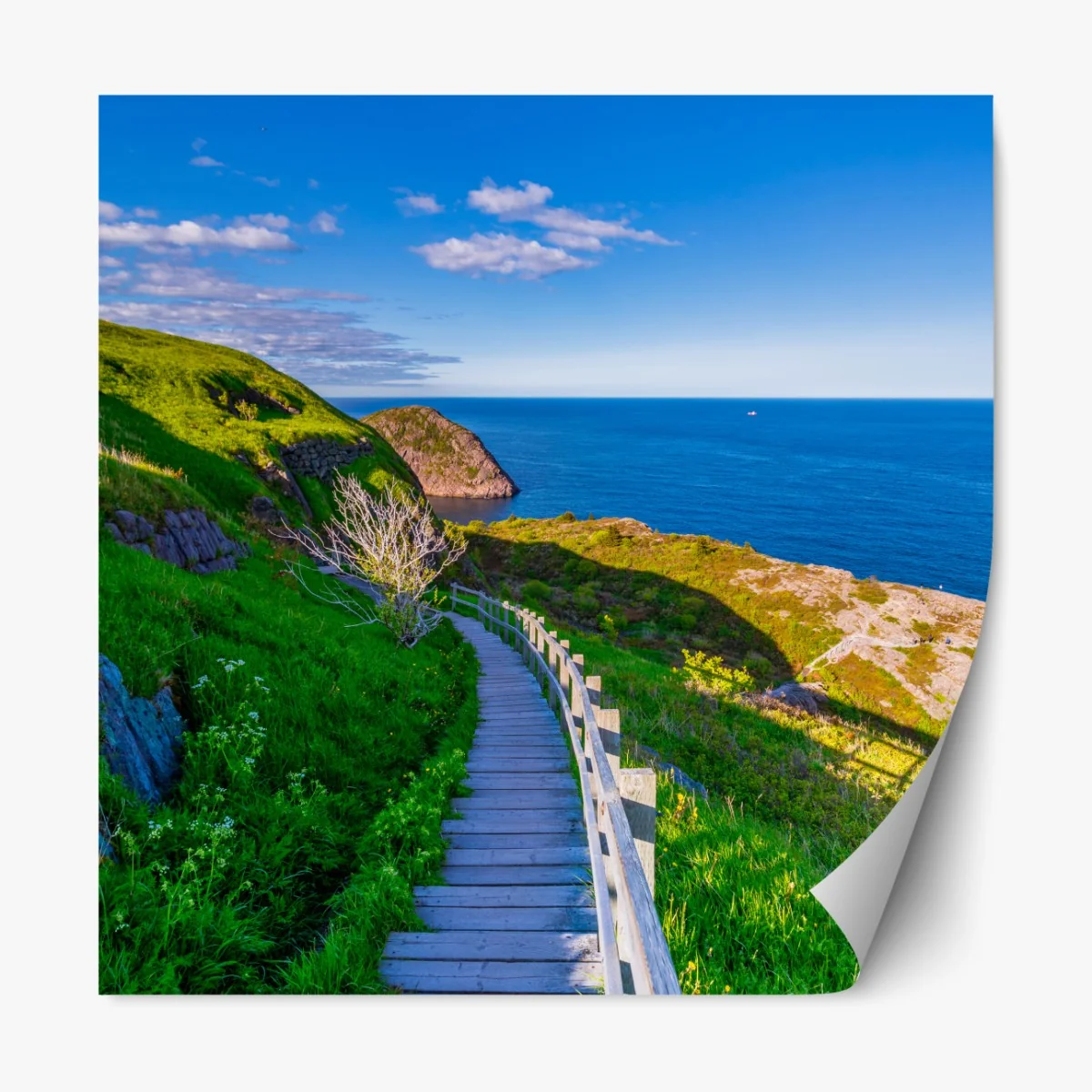 Repositionierbarer Aufkleber küstenpfad mit blick auf das meer – Wallnifity® Repositionierbarer Aufkleber küstenpfad mit blick auf das meer – Wallnifity®
