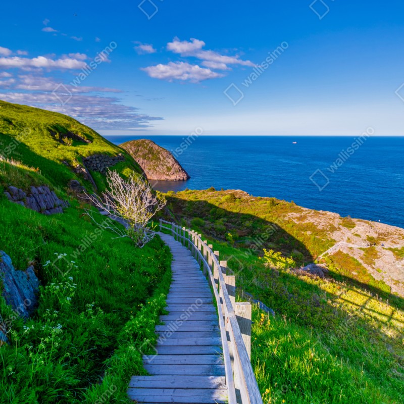 Repositionierbarer Aufkleber küstenpfad mit blick auf das meer – Wallnifity® Repositionierbarer Aufkleber küstenpfad mit blick auf das meer – Wallnifity®