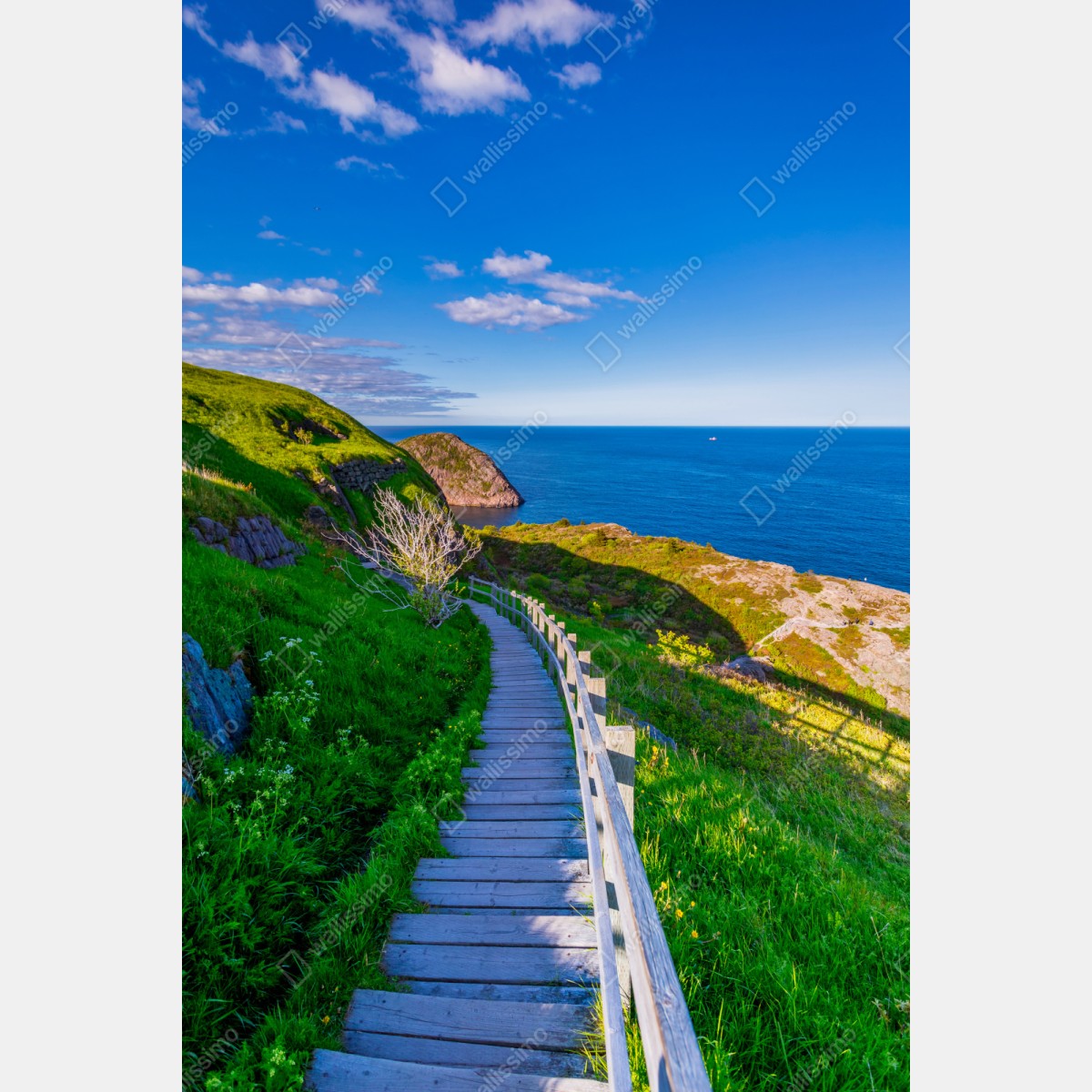Repositionierbarer Aufkleber küstenpfad mit blick auf das meer – Wallnifity® Repositionierbarer Aufkleber küstenpfad mit blick auf das meer – Wallnifity®
