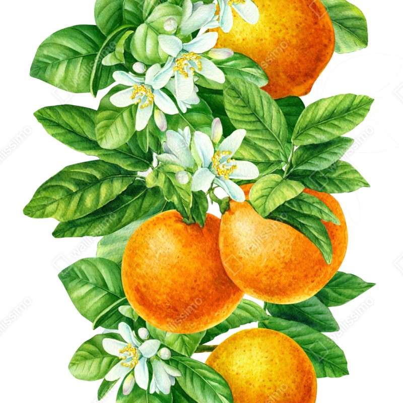 Repositionierbarer Aufkleber zitrusblüten und reife orangen – Wallnifity® Repositionierbarer Aufkleber zitrusblüten und reife orangen – Wallnifity®