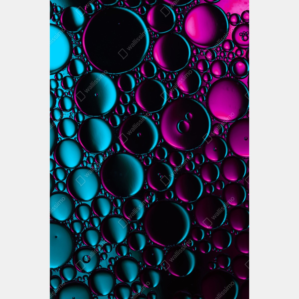 Repositionierbarer Aufkleber türkis-magenta blasenmuster – Wallnifity® Repositionierbarer Aufkleber türkis-magenta blasenmuster – Wallnifity®