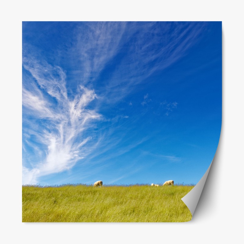 Repositionierbarer Aufkleber grüne wiese unter blauem himmel – Wallnifity®