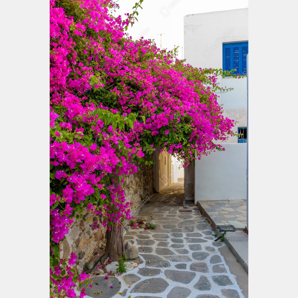 Repositionierbarer Aufkleber blühende bougainvillea in Naousa gasse – Wallnifity® Repositionierbarer Aufkleber blühende bougainvillea in Naousa gasse – Wallnifity®