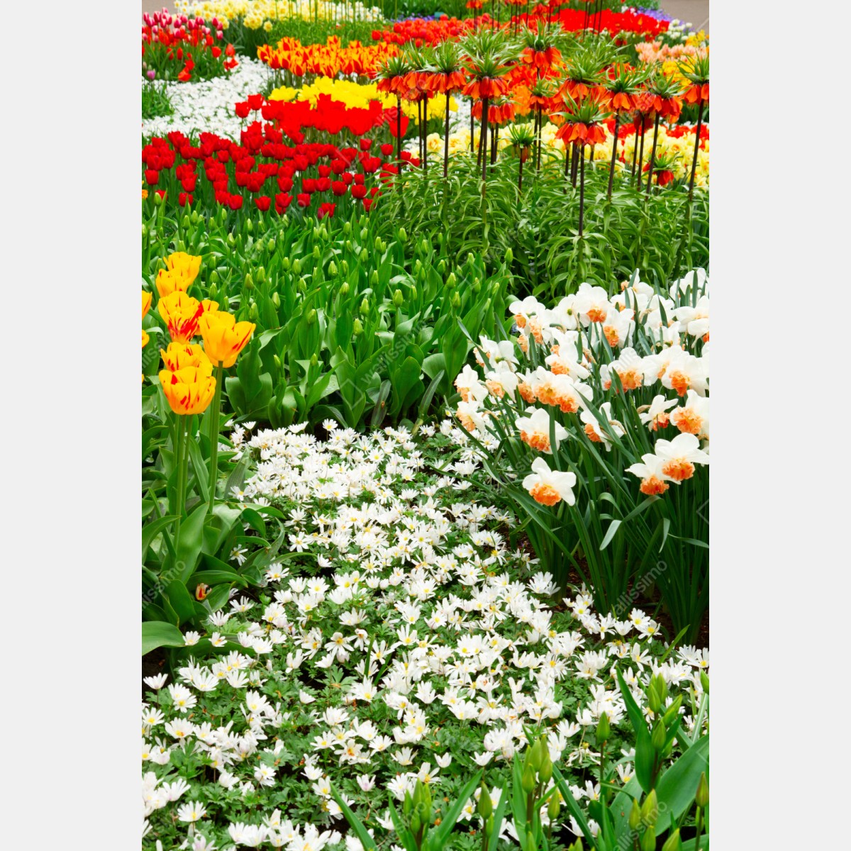 Repositionierbarer Aufkleber lebendiger frühlingsblumengarten – Wallnifity® Repositionierbarer Aufkleber lebendiger frühlingsblumengarten – Wallnifity®