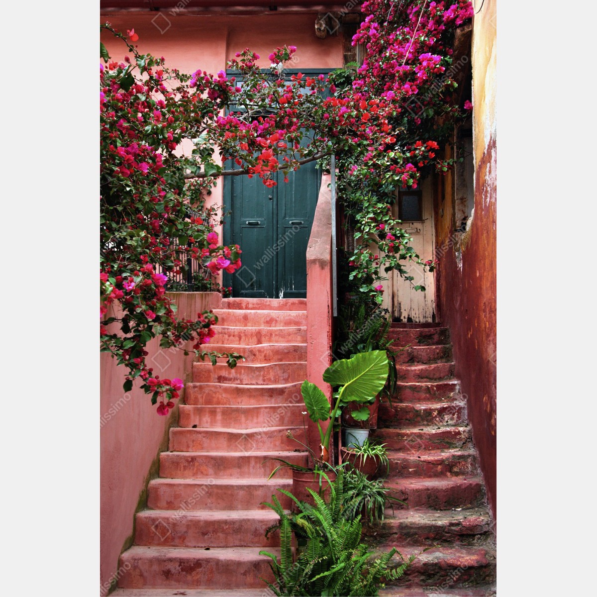 Repositionierbarer Aufkleber treppe mit bougainvillea und grünen pflanzen – Wallnifity® Repositionierbarer Aufkleber treppe mit bougainvillea und grünen pflanzen – Wallnifity®