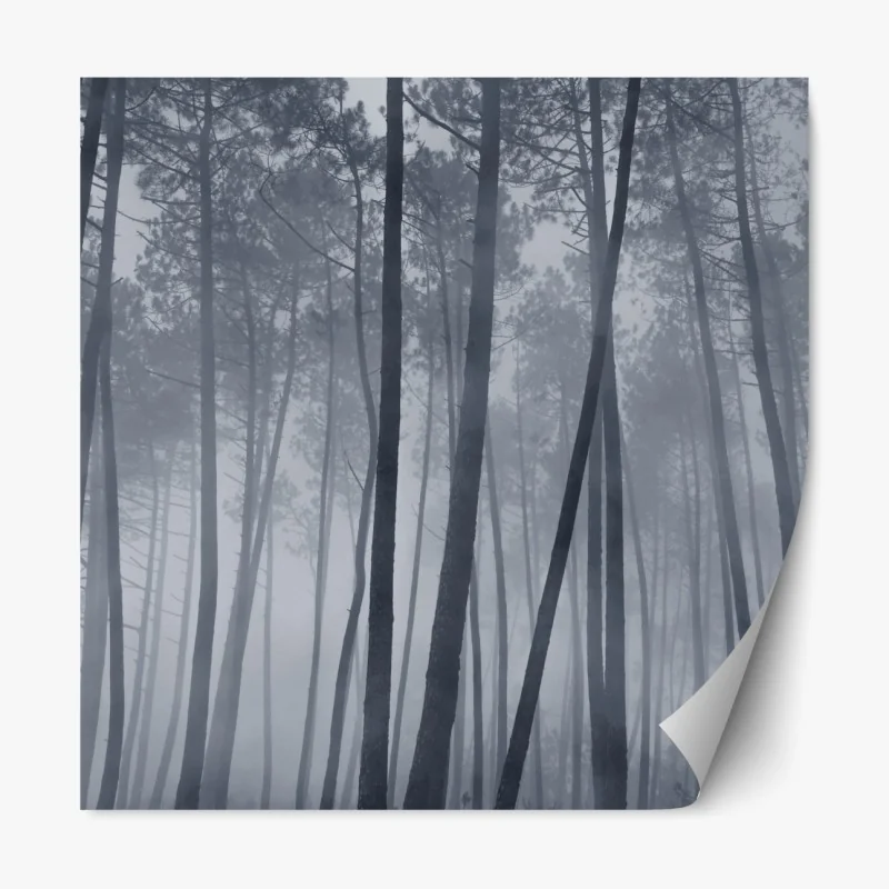 Repositionierbarer Aufkleber nebliger kiefernwald bei nacht – Wallnifity® Repositionierbarer Aufkleber nebliger kiefernwald bei nacht – Wallnifity®