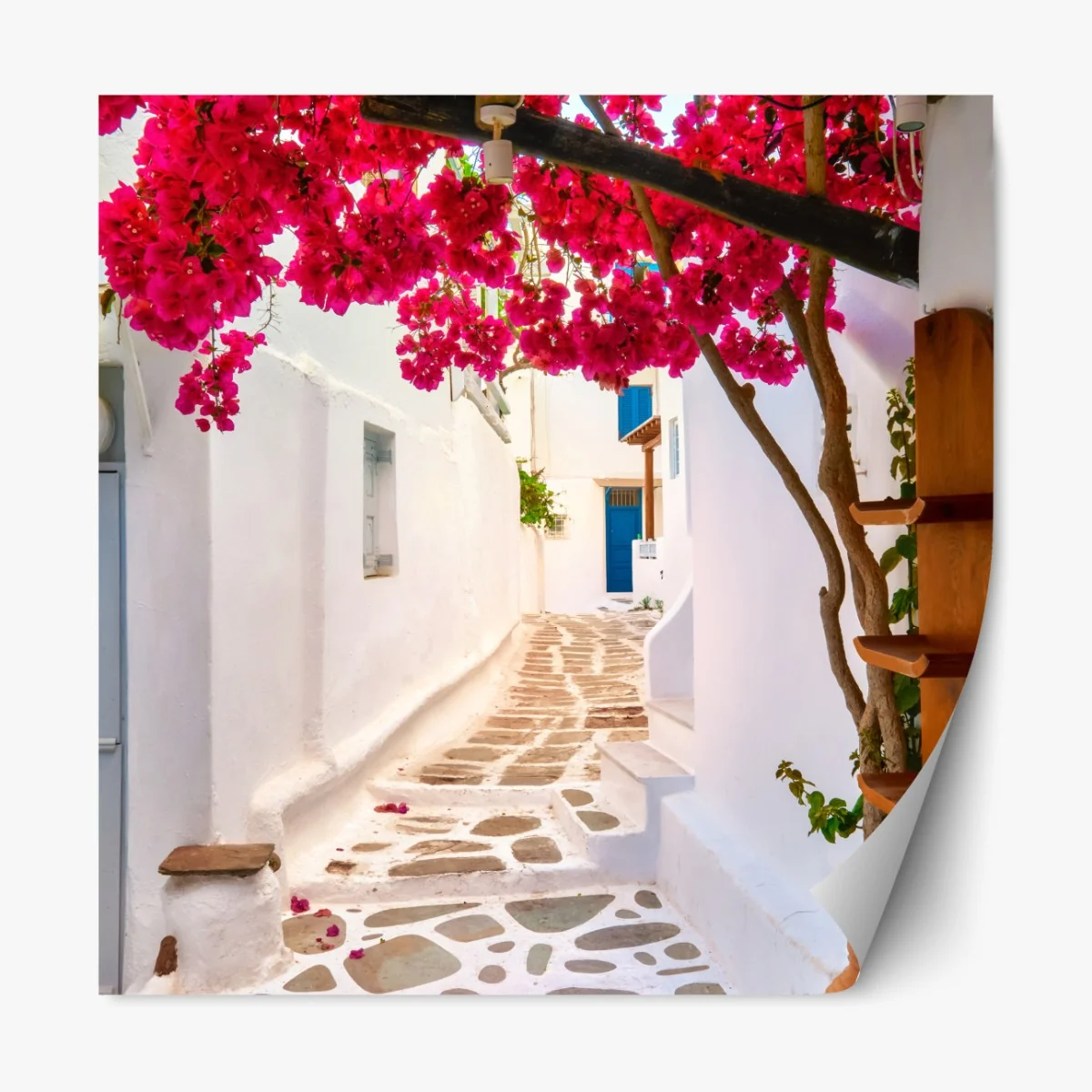 Repositionierbarer Aufkleber sonnige gasse in Griechenland mit bougainvillea – Wallnifity® Repositionierbarer Aufkleber sonnige gasse in Griechenland mit bougainvillea – Wallnifity®