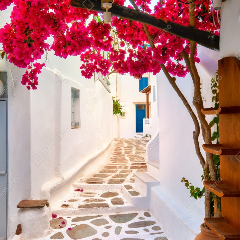 Repositionierbarer Aufkleber sonnige gasse in Griechenland mit bougainvillea – Wallnifity® Repositionierbarer Aufkleber sonnige gasse in Griechenland mit bougainvillea – Wallnifity®