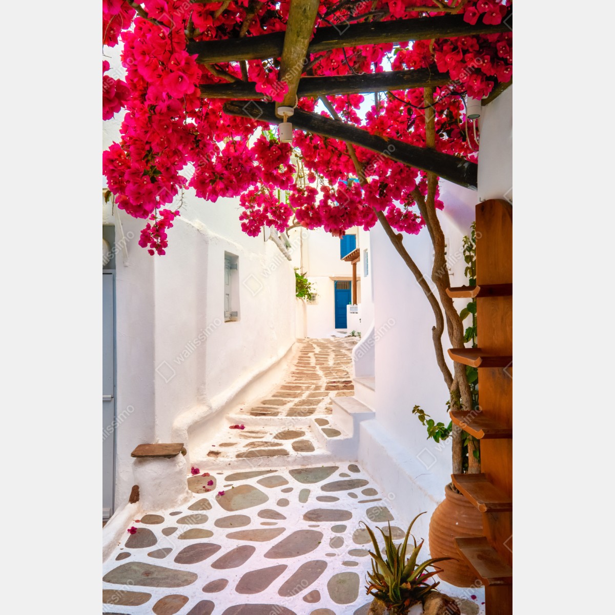 Repositionierbarer Aufkleber sonnige gasse in Griechenland mit bougainvillea – Wallnifity® Repositionierbarer Aufkleber sonnige gasse in Griechenland mit bougainvillea – Wallnifity®