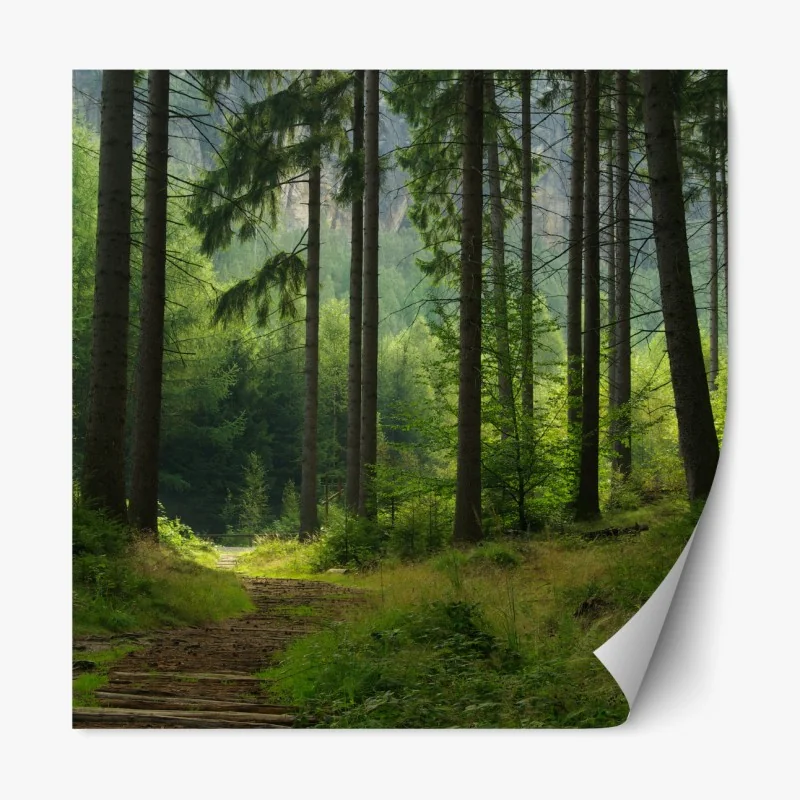 Repositionierbarer Aufkleber tiefblauer nachthimmel mit milchstraße und sternschnuppe – Wallnifity®