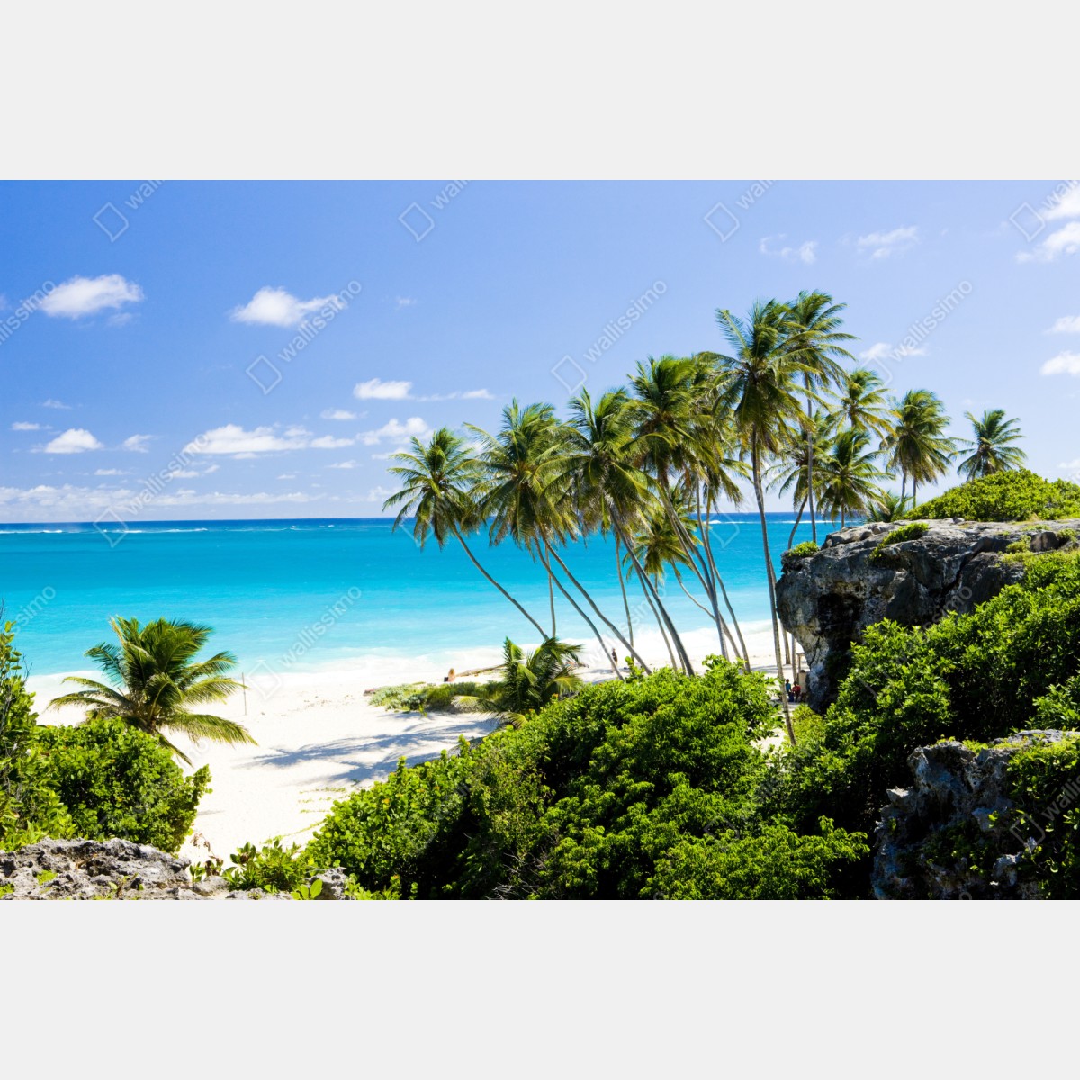 Repositionierbarer Aufkleber Bottom Bay palmenstrand, Barbados – Wallnifity® Repositionierbarer Aufkleber Bottom Bay palmenstrand, Barbados – Wallnifity®