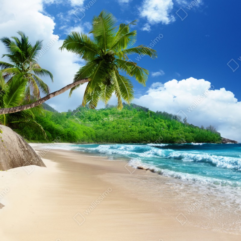 Repositionierbarer Aufkleber ruhiger tropischer strand auf Mahe, Seychellen – Wallnifity® Repositionierbarer Aufkleber ruhiger tropischer strand auf Mahe, Seychellen – Wallnifity®