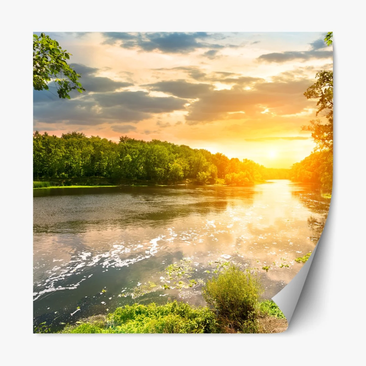 Repositionierbarer Aufkleber ruhiger sonnenuntergang am fluss im grünen wald – Wallnifity® Repositionierbarer Aufkleber ruhiger sonnenuntergang am fluss im grünen wald – Wallnifity®