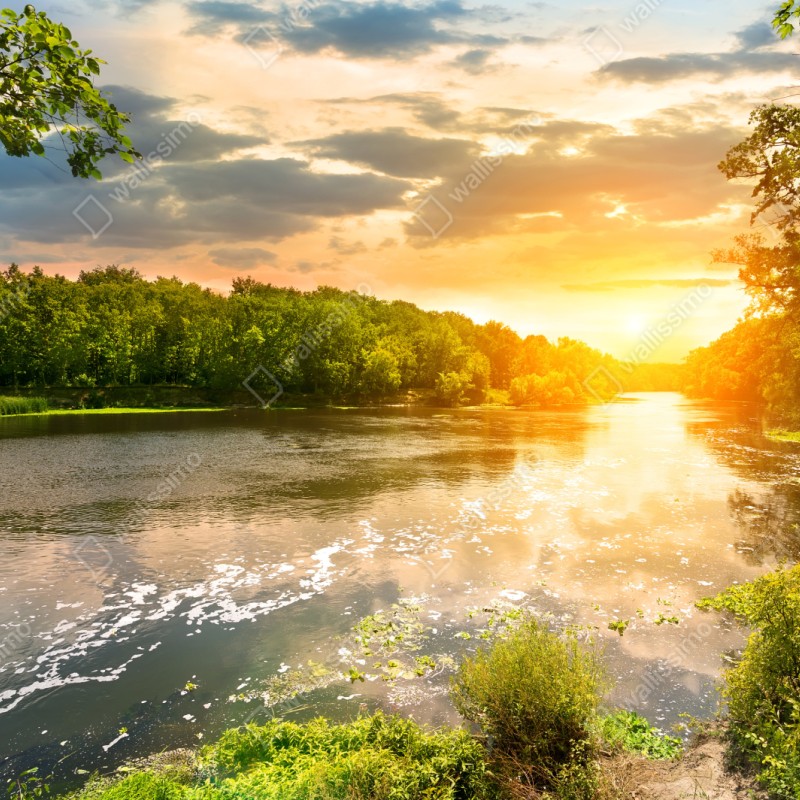 Repositionierbarer Aufkleber ruhiger sonnenuntergang am fluss im grünen wald – Wallnifity® Repositionierbarer Aufkleber ruhiger sonnenuntergang am fluss im grünen wald – Wallnifity®