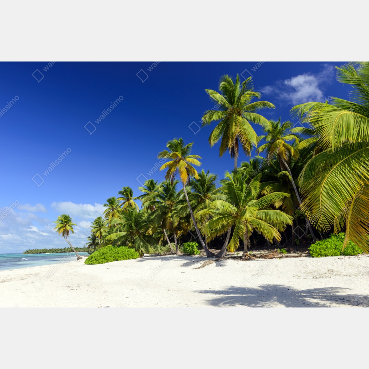 Repositionierbarer Aufkleber ruhiger tropischer strand in Punta Cana – Wallnifity® Repositionierbarer Aufkleber ruhiger tropischer strand in Punta Cana – Wallnifity®