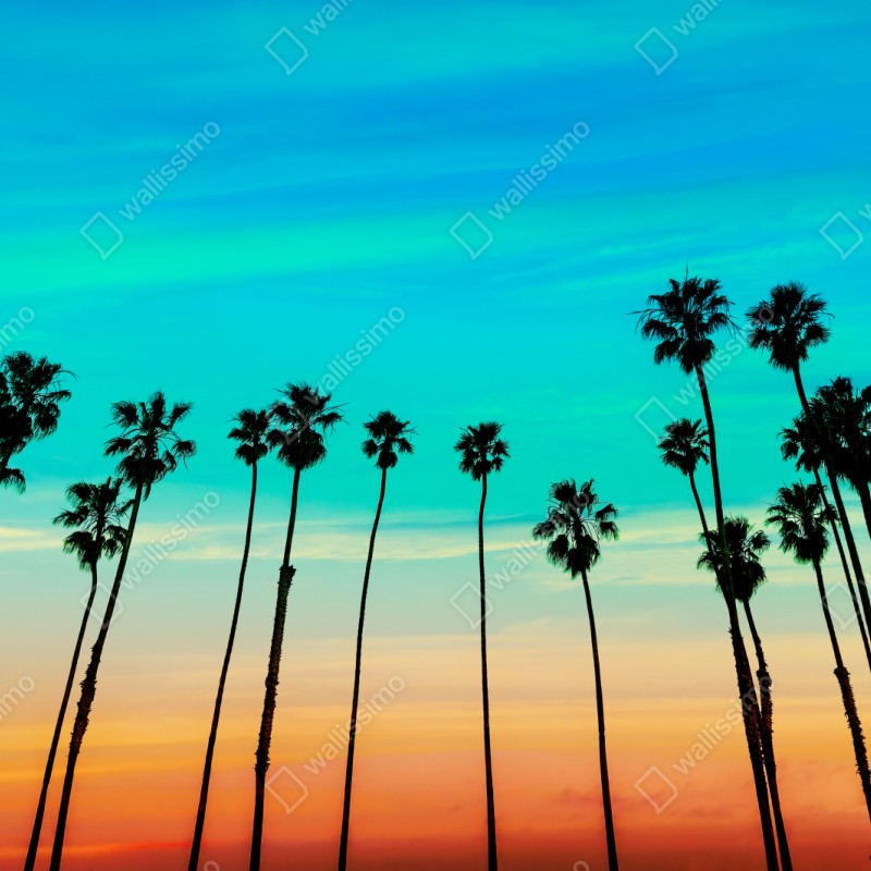 Repositionierbarer Aufkleber palmen-silhouette bei sonnenuntergang in Kalifornien – Wallnifity® Repositionierbarer Aufkleber palmen-silhouette bei sonnenuntergang in Kalifornien – Wallnifity®