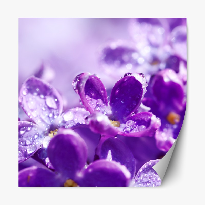 Repositionierbarer Aufkleber tiefblaues blattmuster – Wallnifity®