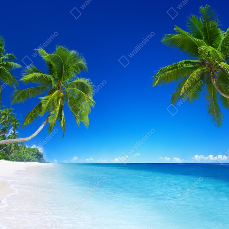Repositionierbarer Aufkleber tropischer strand mit palmen – Wallnifity® Repositionierbarer Aufkleber tropischer strand mit palmen – Wallnifity®