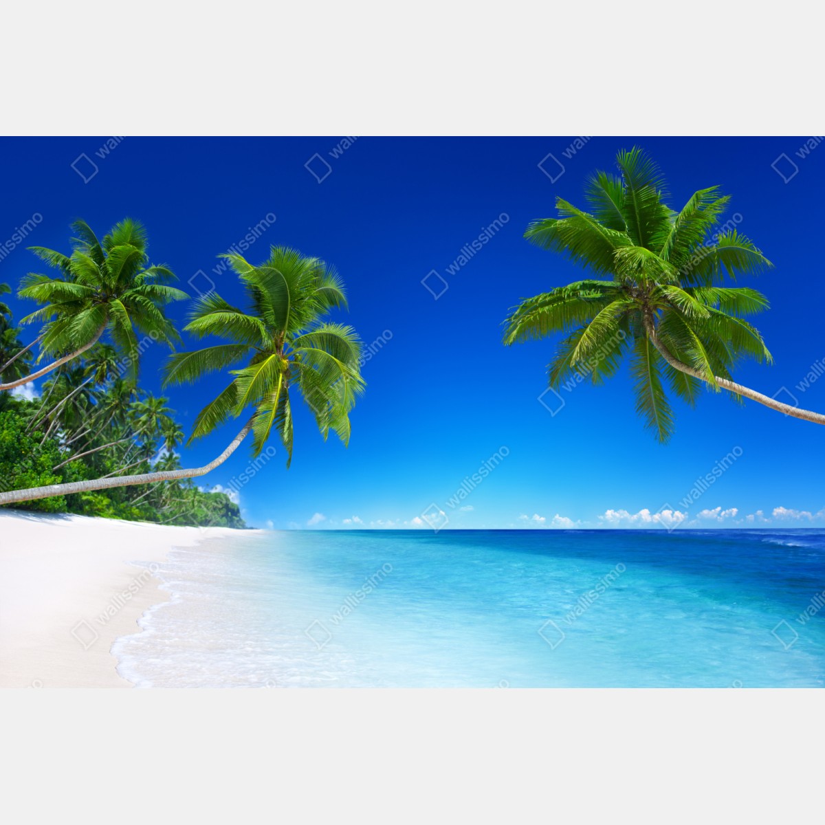 Repositionierbarer Aufkleber tropischer strand mit palmen – Wallnifity® Repositionierbarer Aufkleber tropischer strand mit palmen – Wallnifity®