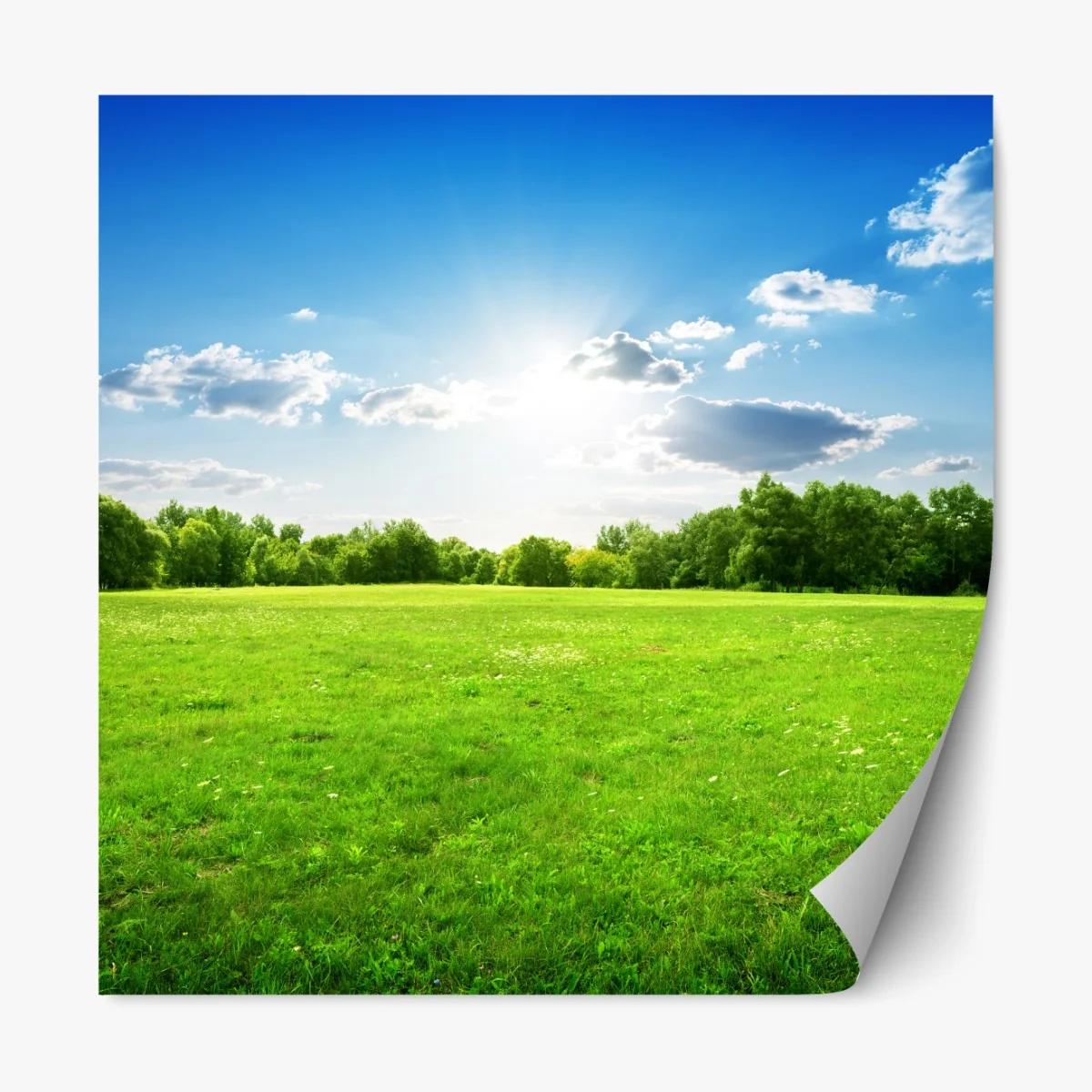 Repositionierbarer Aufkleber sonnige grüne wiese – Wallnifity®