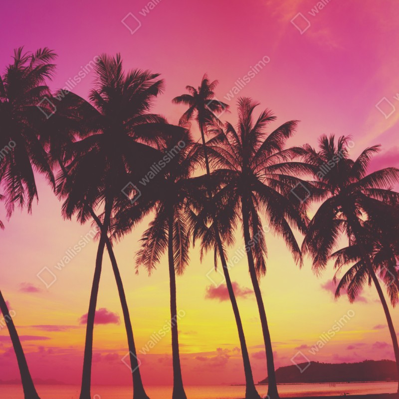 Repositionierbarer Aufkleber tropischer sonnenuntergang mit palmen, Thailand – Wallnifity® Repositionierbarer Aufkleber tropischer sonnenuntergang mit palmen, Thailand – Wallnifity®
