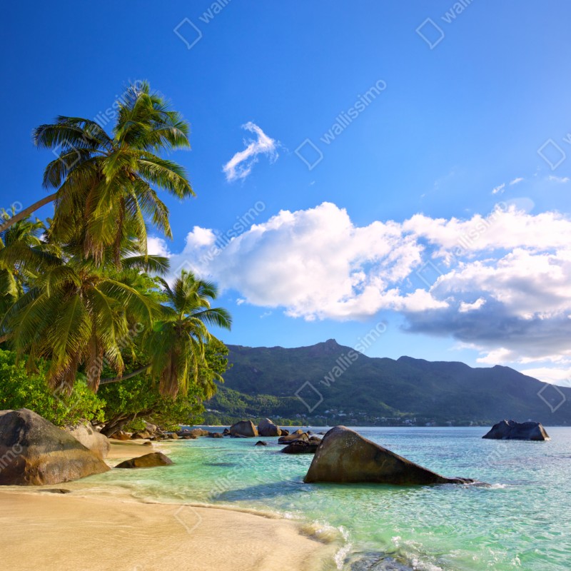 Repositionierbarer Aufkleber tropischer strand auf Mahé – Wallnifity® Repositionierbarer Aufkleber tropischer strand auf Mahé – Wallnifity®
