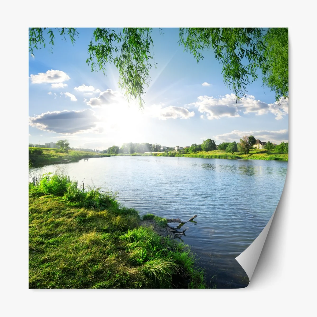 Repositionierbarer Aufkleber sonnenbeschienenes flussufer mit üppigem grün – Wallnifity® Repositionierbarer Aufkleber sonnenbeschienenes flussufer mit üppigem grün – Wallnifity®