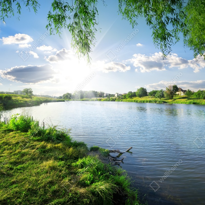 Repositionierbarer Aufkleber sonnenbeschienenes flussufer mit üppigem grün – Wallnifity® Repositionierbarer Aufkleber sonnenbeschienenes flussufer mit üppigem grün – Wallnifity®