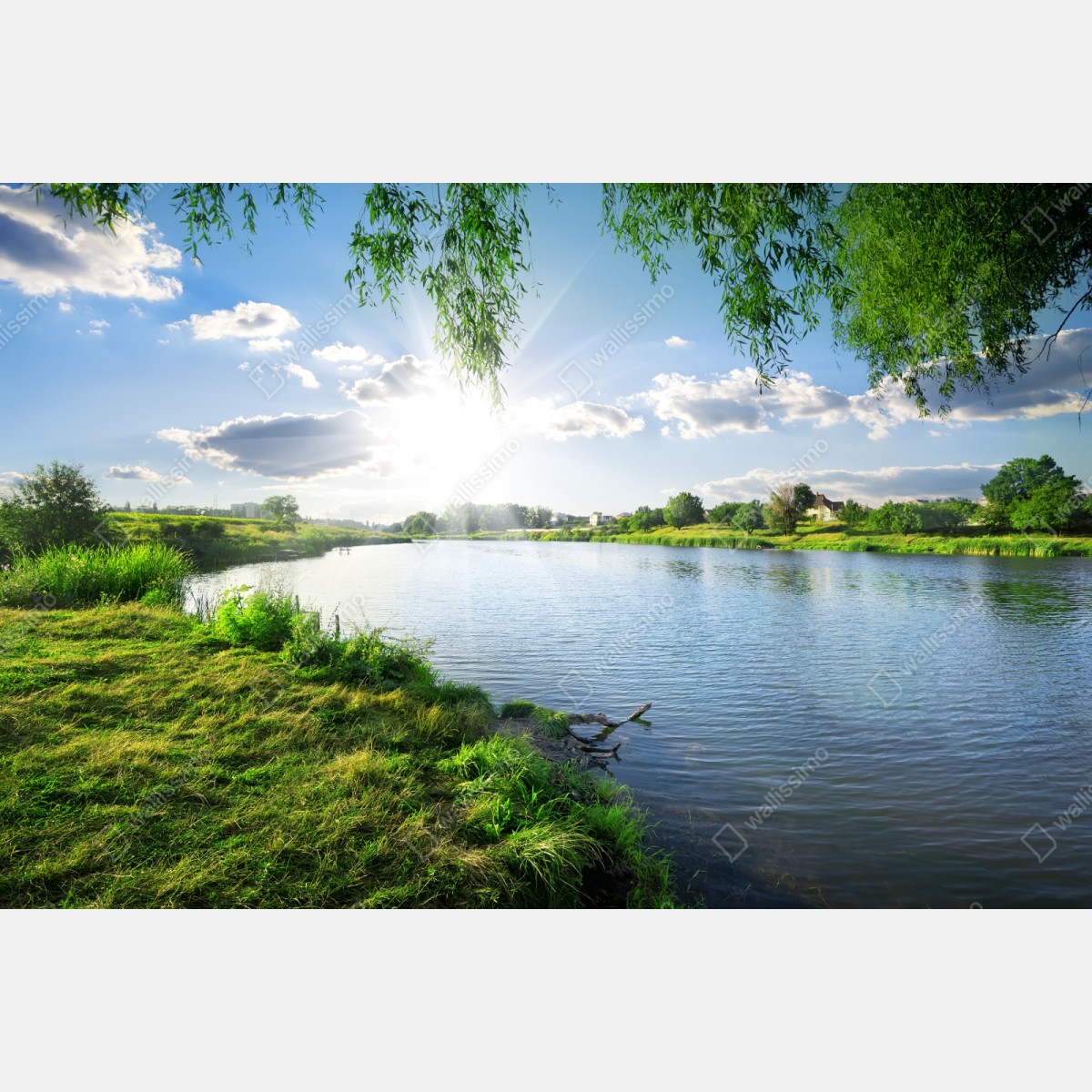 Repositionierbarer Aufkleber sonnenbeschienenes flussufer mit üppigem grün – Wallnifity® Repositionierbarer Aufkleber sonnenbeschienenes flussufer mit üppigem grün – Wallnifity®