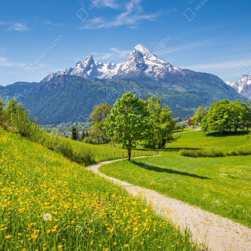 Repositionierbarer Aufkleber alpine frühlingswiese mit schneebedeckten gipfeln – Wallnifity® Repositionierbarer Aufkleber alpine frühlingswiese mit schneebedeckten gipfeln – Wallnifity®