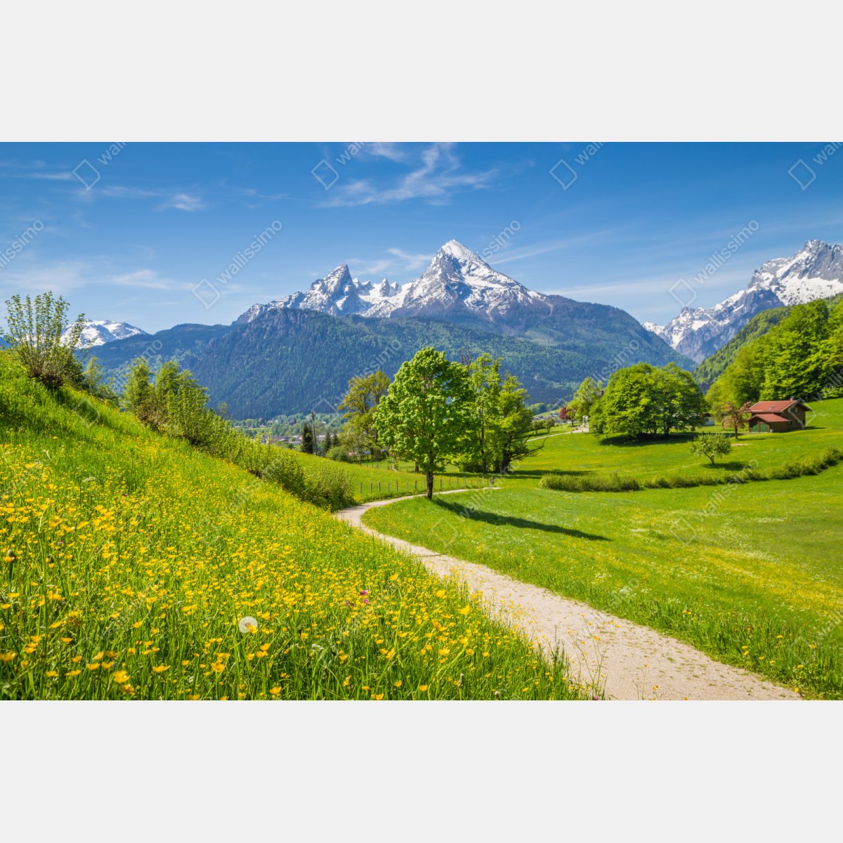 Repositionierbarer Aufkleber alpine frühlingswiese mit schneebedeckten gipfeln – Wallnifity® Repositionierbarer Aufkleber alpine frühlingswiese mit schneebedeckten gipfeln – Wallnifity®