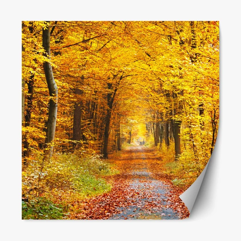 Repositionierbarer Aufkleber goldener herbstwald pfad – Wallnifity® Repositionierbarer Aufkleber goldener herbstwald pfad – Wallnifity®
