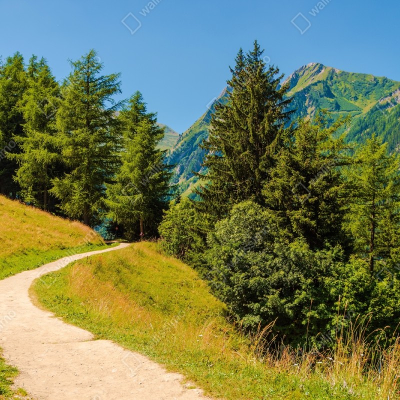 Repositionierbarer Aufkleber bergweg in den Schweizer Alpen im Sommer – Wallnifity® Repositionierbarer Aufkleber bergweg in den Schweizer Alpen im Sommer – Wallnifity®