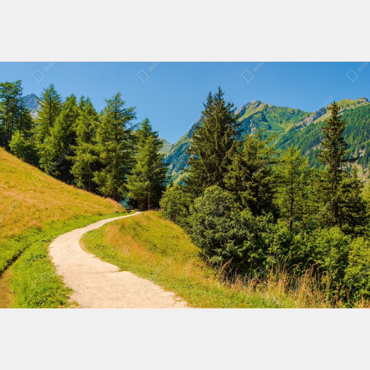 Repositionierbarer Aufkleber bergweg in den Schweizer Alpen im Sommer – Wallnifity® Repositionierbarer Aufkleber bergweg in den Schweizer Alpen im Sommer – Wallnifity®