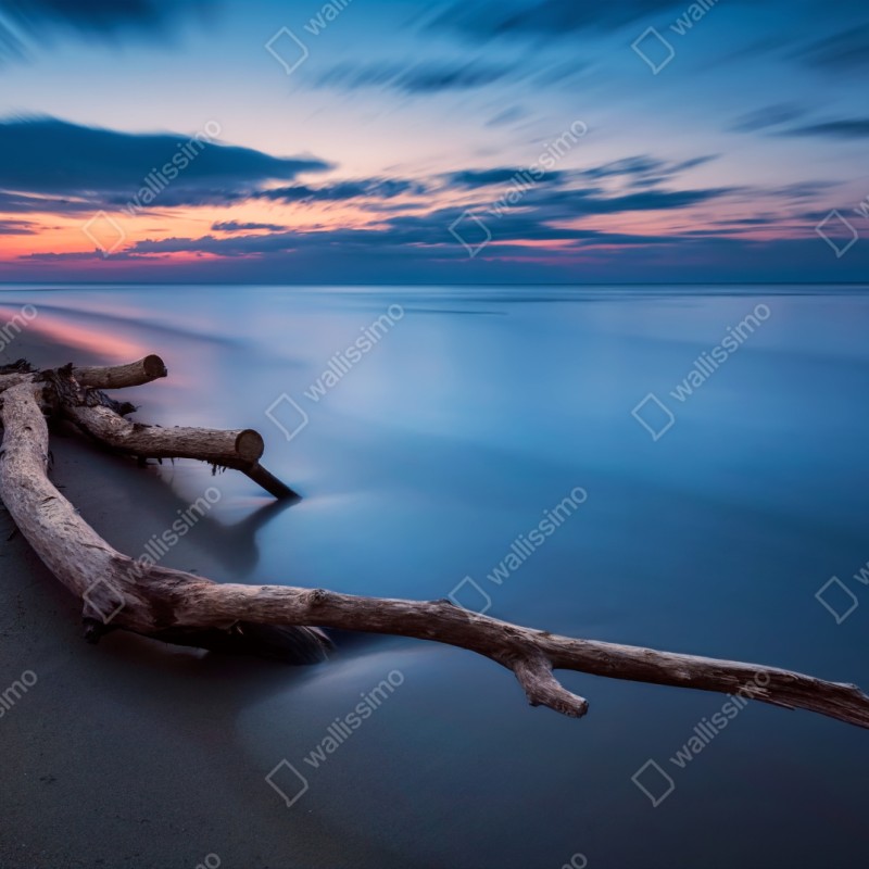 Repositionierbarer Aufkleber treibholz bei dämmerung am ruhigen strand – Wallnifity® Repositionierbarer Aufkleber treibholz bei dämmerung am ruhigen strand – Wallnifity®
