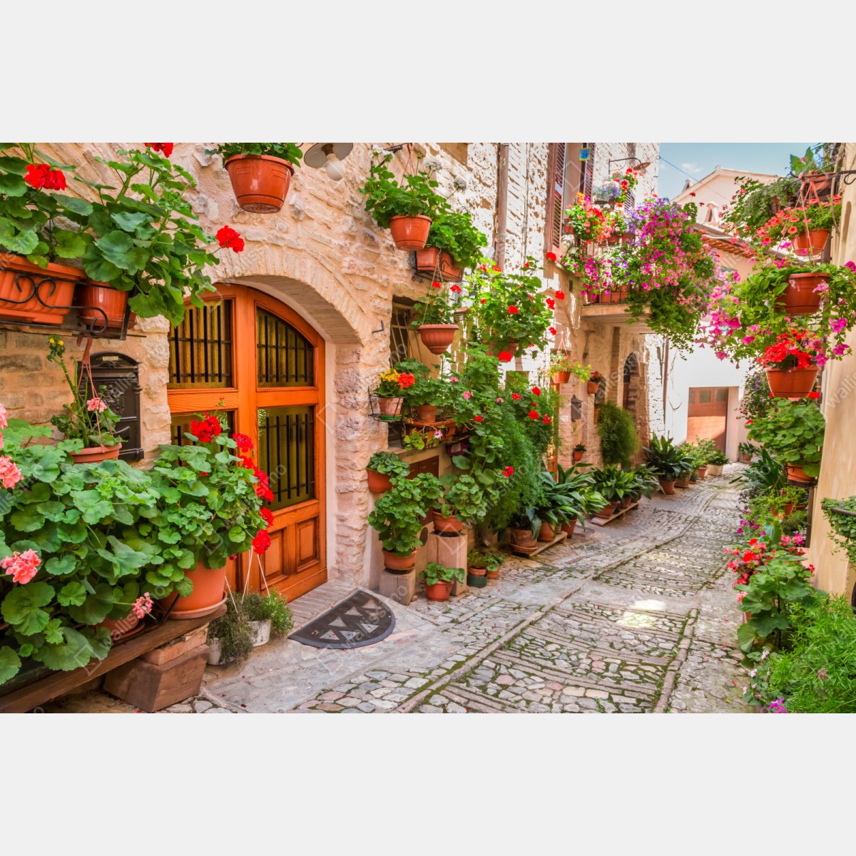 Repositionierbarer Aufkleber sonnige gasse in Italien mit blühenden töpfen – Wallnifity® Repositionierbarer Aufkleber sonnige gasse in Italien mit blühenden töpfen – Wallnifity®