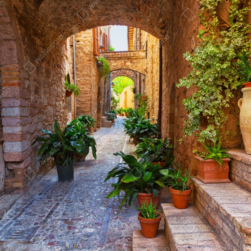 Repositionierbarer Aufkleber sonnige gasse mit blumentöpfen in Spello – Wallnifity® Repositionierbarer Aufkleber sonnige gasse mit blumentöpfen in Spello – Wallnifity®