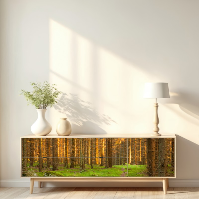 Repositionierbarer Aufkleber goldenes licht im moosbedeckten kiefernwald – Wallnifity® Repositionierbarer Aufkleber goldenes licht im moosbedeckten kiefernwald – Wallnifity®